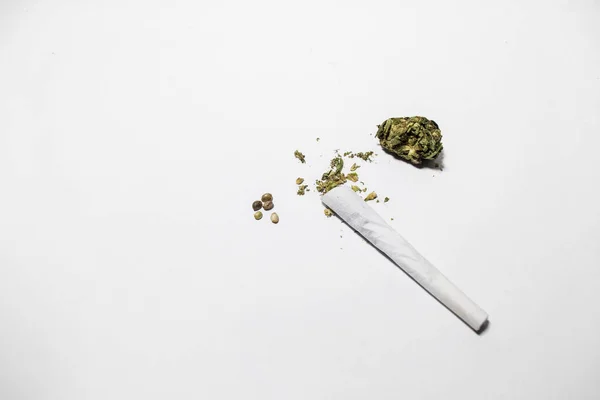 墨西哥生产的带有种子和芽的大麻卷 白色背景的药用植物 420种概念 — 图库照片