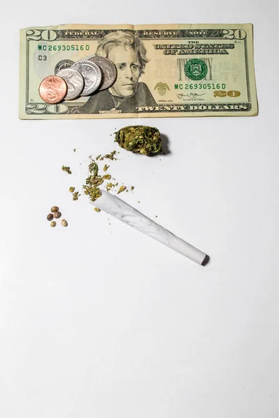 Conceito Negócio Marijuana Conjunta Broto Uma Nota Dólares Com Moedas — Fotografia de Stock