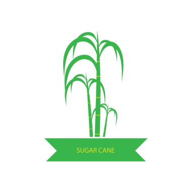 Şeker, şeker kamışı logo vektör tasarımı