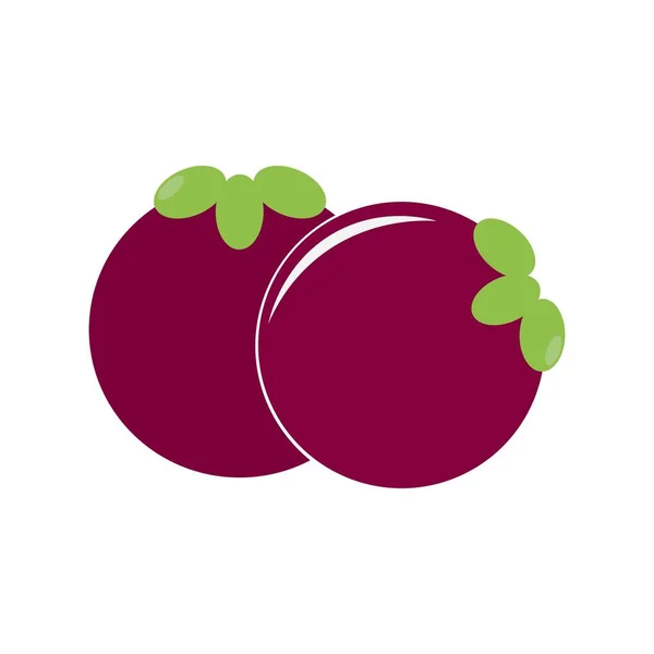 Projeto Vetor Logotipo Ícone Fruta Mangostão — Vetor de Stock