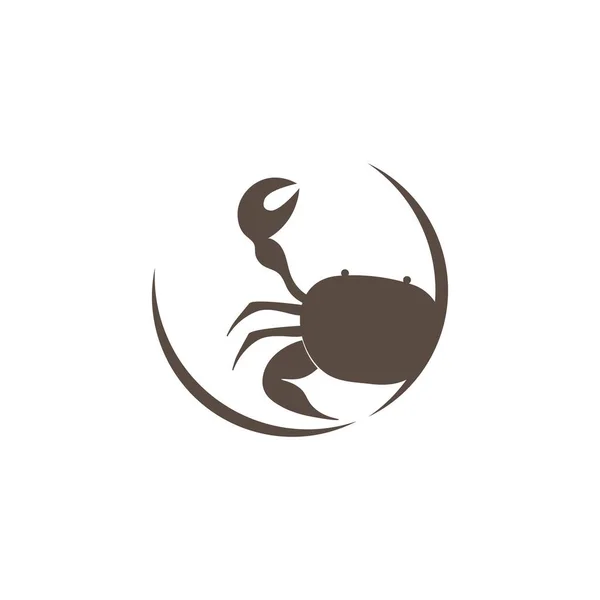 Icône Crabe Logo Vectoriel Design — Image vectorielle
