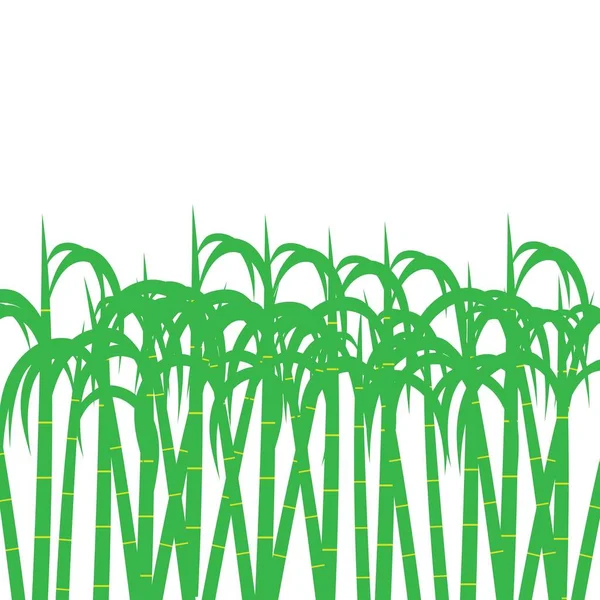 Дизайн Вектора Логотипа Сахарного Тростника Сахара — стоковый вектор
