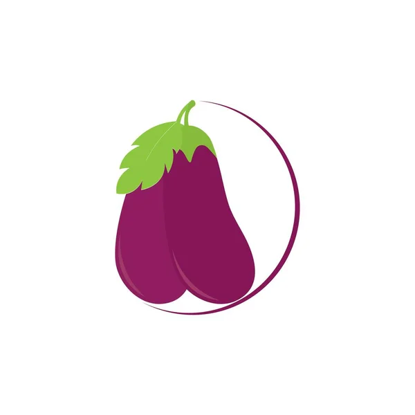 Eggplant Icon Logo Vector Design — Stock Vector