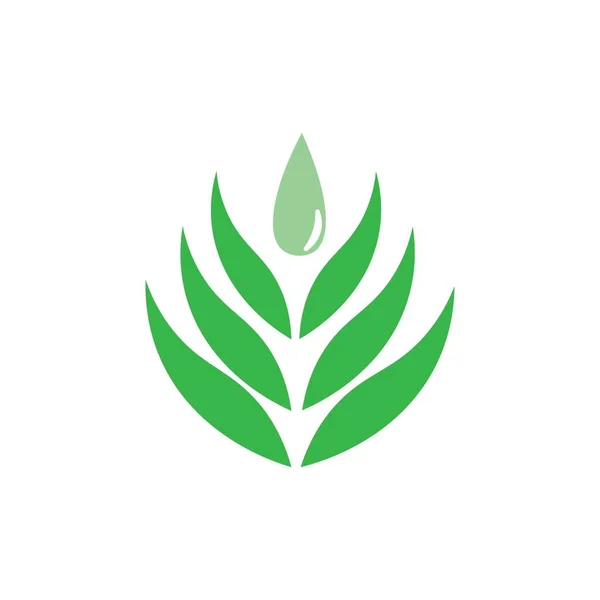 Векторный Дизайн Логотипа Aloevera — стоковый вектор