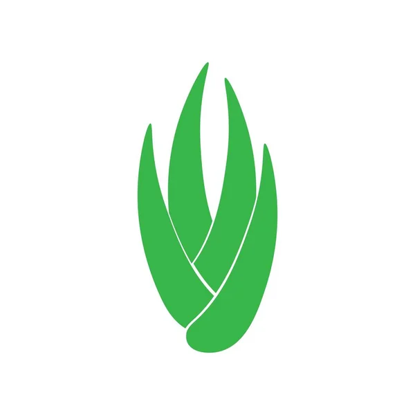 Aloevera Εικονογράφηση Λογότυπο Διανυσματική Σχεδίαση — Διανυσματικό Αρχείο