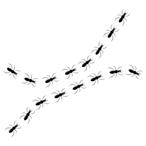 Siyah Beyaz Karınca Logo Vektörü — Stok Vektör