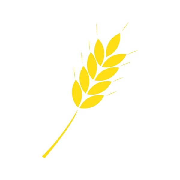 Weizen Illustration Symbol Logo Vektor Design — Stockvektor