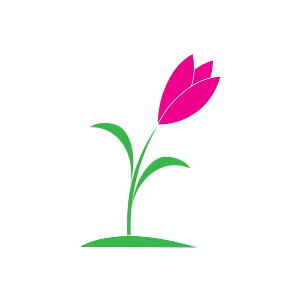 Tulipán Flor Ilustración Icono Logo Vector — Vector de stock