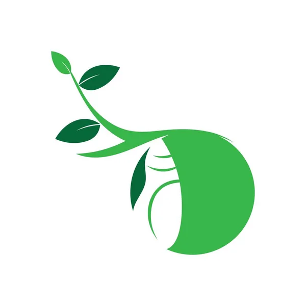 Ілюстрація Кокона Логотип Векторний Дизайн — стоковий вектор