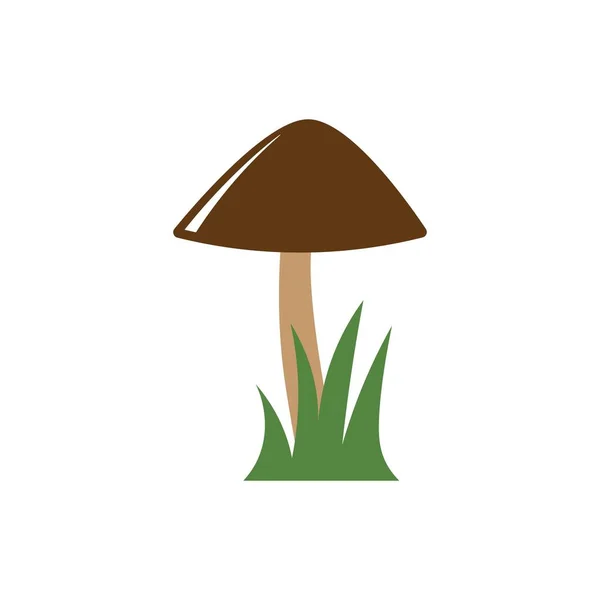 Cogumelo Ilustração Logotipo Vetor Design — Vetor de Stock