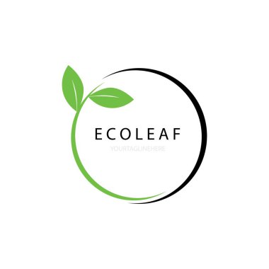 Eko yaprağı illüstrasyon simgesi logo vektör tasarımı
