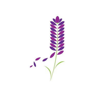 Lavanta, çiçek illüstrasyon logo vektörü 
