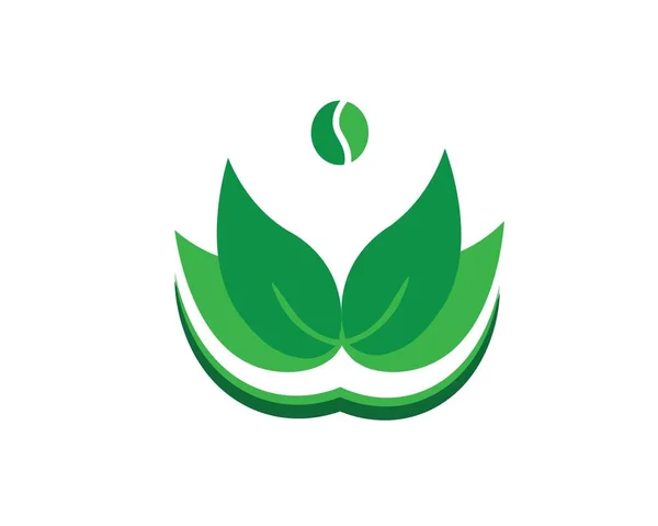 Вектор Логотипу Значка Натурального Листя — стоковий вектор