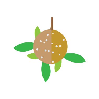 Longan meyve illüstrasyon logo vektör tasarımı