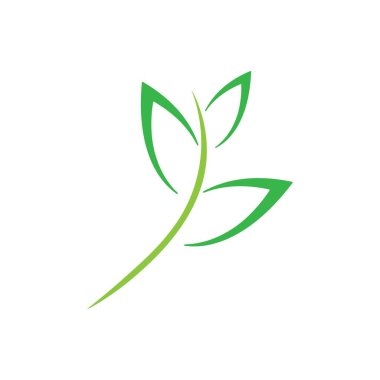 Yaprak illüstrasyon logo vektör tasarımı