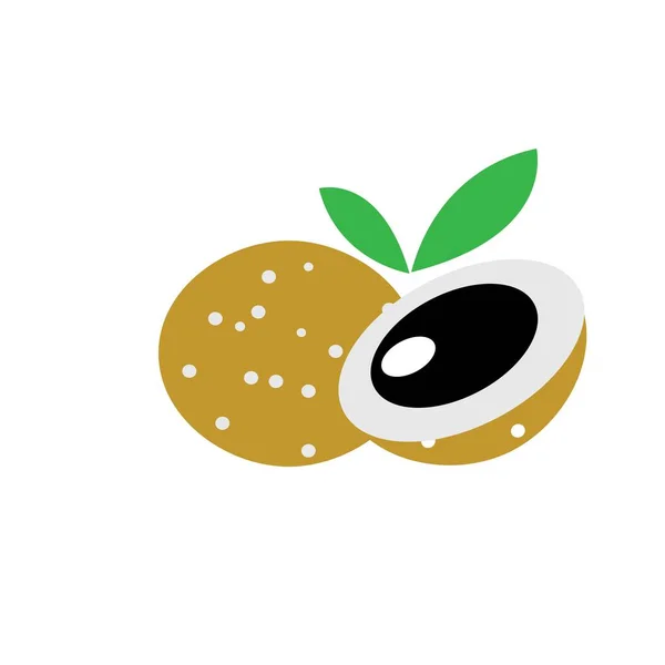 Longan Fruit Illustration Logo Vectoriel Design — Image vectorielle
