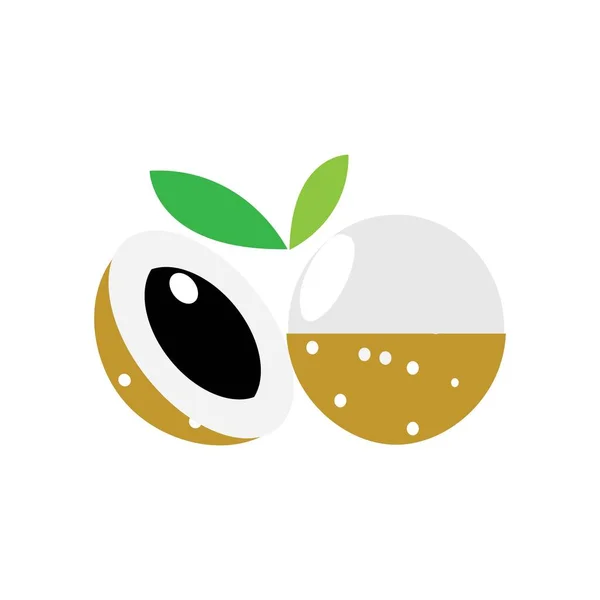 Longan Fruta Ilustración Logo Vector Diseño — Vector de stock