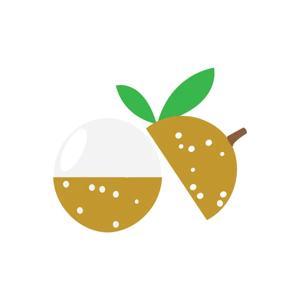 Desain Logo Longan Fruit Illustration Vector - Stok Vektor