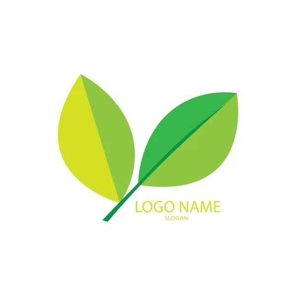 Hoja Ilustración Logo Vector Diseño — Vector de stock