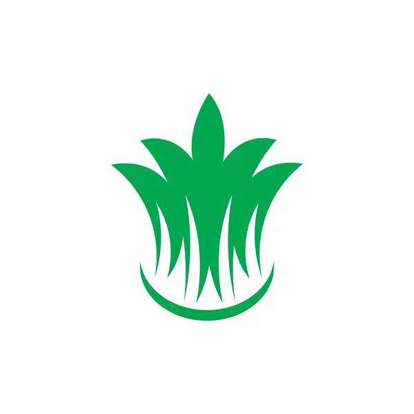 Трава Зеленый Рисунок Логотип Векторный Дизайн — стоковый вектор