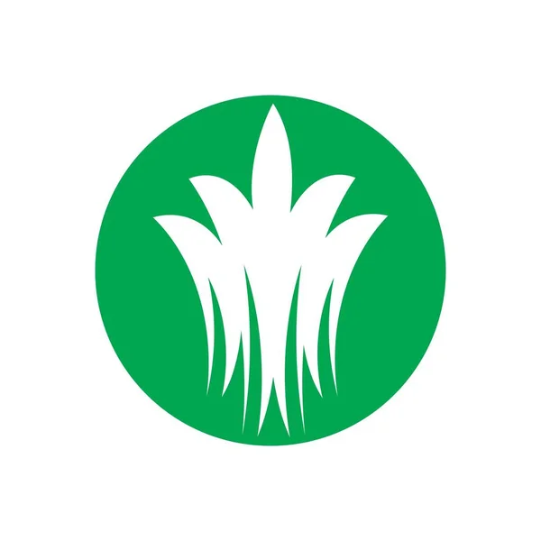Grama Design Vetor Logotipo Ilustração Verde — Vetor de Stock