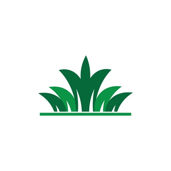 Hierba Verde Ilustración Logo Vector Diseño — Archivo Imágenes Vectoriales