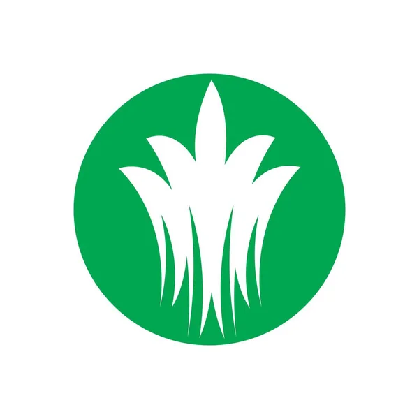Tráva Zelené Ilustrační Logo Vektorový Design Vektorová Grafika