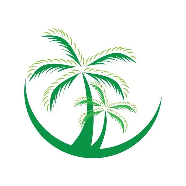 Palmera Ilustración Logo Vector — Vector de stock