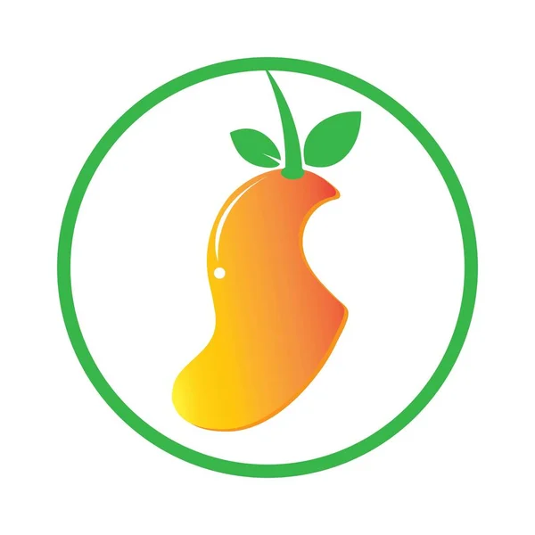 Mango Meyve Illüstrasyon Logo Vektörü — Stok Vektör