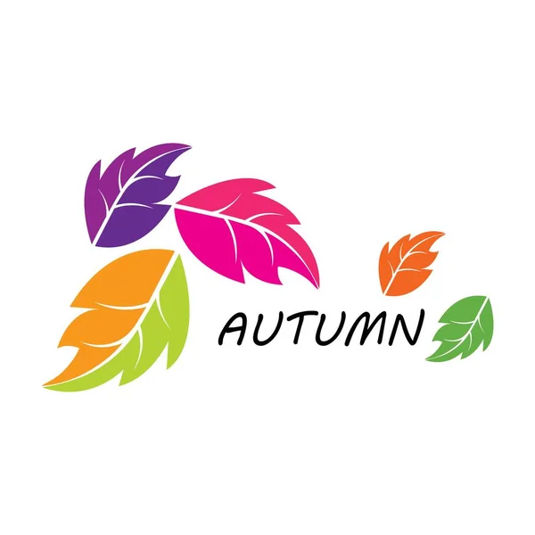 stock vector leaf, autumn illustration logo vector