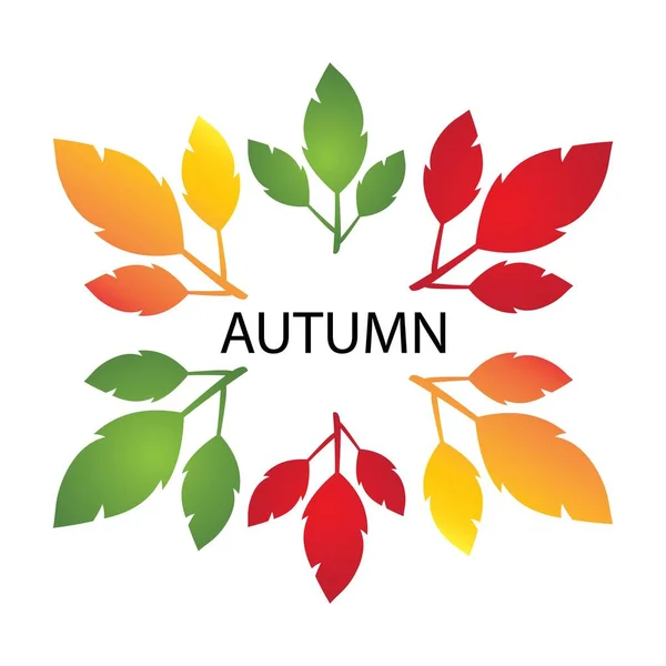 Leaf Autumn Illustration Logo Vector — Stock Vector