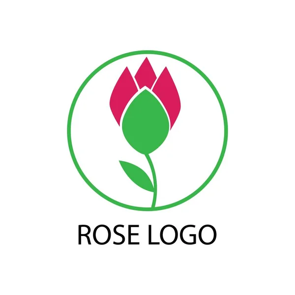 Róża Kwiat Ilustracja Logo Wektor — Wektor stockowy