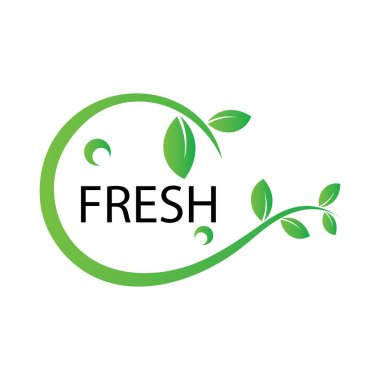 Taze yaprak şablonu vektörü