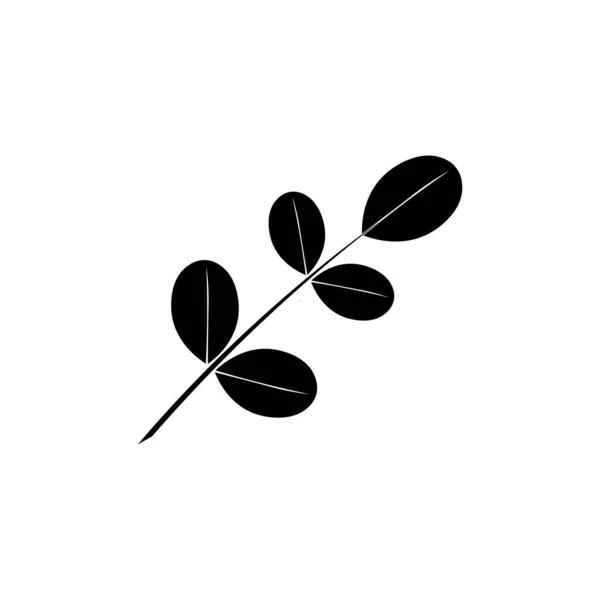 Moringa Blad Pictogram Sjabloon Vector Stockvector