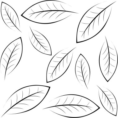 Katuk yaprak simgesi şablonu