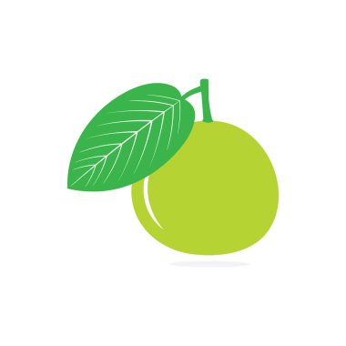 Guava ve yaprak vektör resim tasarımı