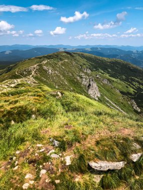 Dağ Sırası Yaz Panoraması. Yüksek kalite fotoğraf