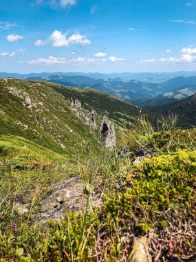 Dağ Sırası Yaz Panoraması. Yüksek kalite fotoğraf