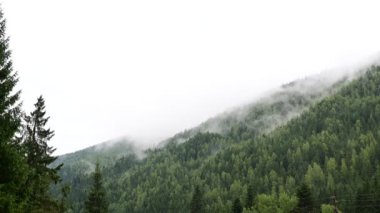 Dağlarda zaman ayarlı sis. Yüksek kalite 4k görüntü