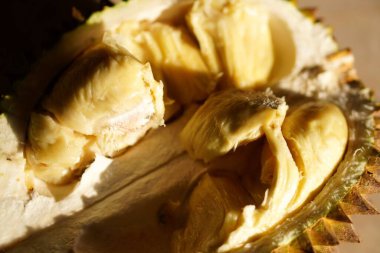 Tadını çıkarmaya hazır olgun bir Durian meyvesi kremsi sarı eti ve kendine özgü yeşil-kahverengi dikenli kabuğu ile sergileniyor. Bu eşsiz tropikal meyve, Güneydoğu Asya 'da son derece değerli, zengin ve keskin bir tat sunuyor..