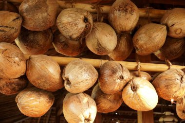 Kurumuş hindistan cevizleri, bambu saplarına zarif bir şekilde bağlanmış, Java temalı iç kısımları süslüyor, ambiyansa kırsal bir dokunuş ekliyor..