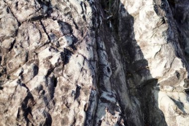 Soyut bir yüzeyi olan bir dağ kayasına yakın çekim