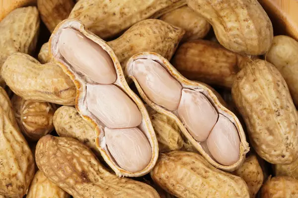 stock image Wooden bowl filled with boiled peanuts (Arachis hypogaea), perfect as a snack, photographed against a white background.