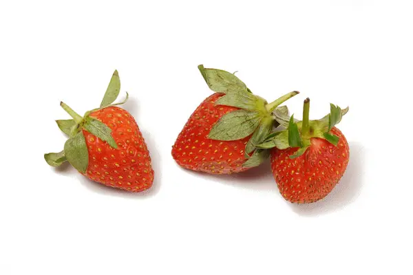 Taze, olgun çilekler (Fragaria ananassa) canlı kırmızı renklerle beyaz arka planda fotoğraflanmıştır. Taze yemek için ya da yemek tarifleri için mükemmel..
