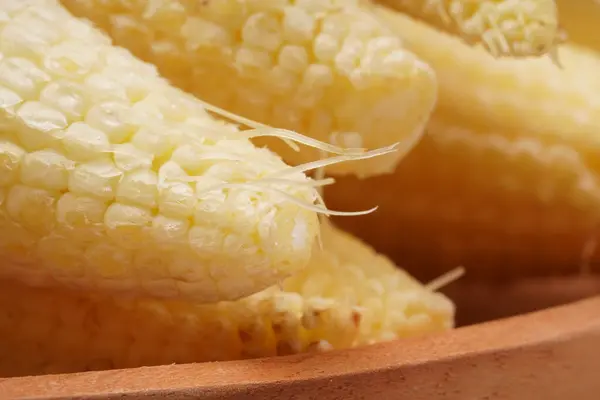 Bir yığın taze sarı bebek mısırı, yarı soyulmuş ve pişirmeye hazır. Beyaz arka planda çekilmiş. Genç mısır olarak da bilinir, bilimsel adı Zea Mays..