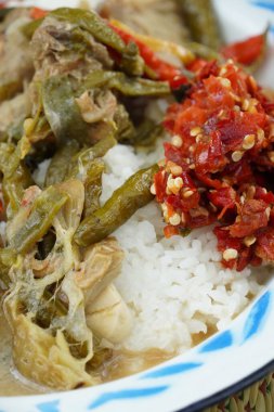 Kremalı hindistan cevizi sütü sebze yahnisi (sayur lodeh), kırmızı biberli sambal, kızarmış tempeh ve sahanda yumurta. Güveç uzun fasulye (Vigna unguiculata) ve genç Jackfruit (Artocarpus heterophyllus) içerir.).