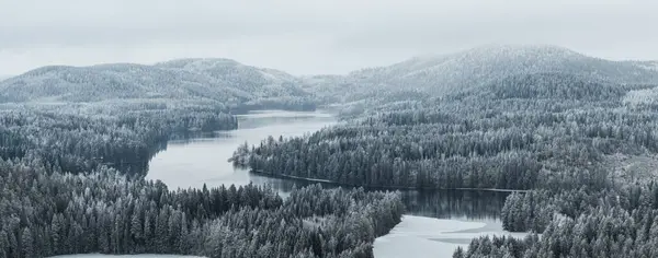 Тайга Лесной Пейзаж Озером Холмами Зимний Период Лицензионные Стоковые Изображения