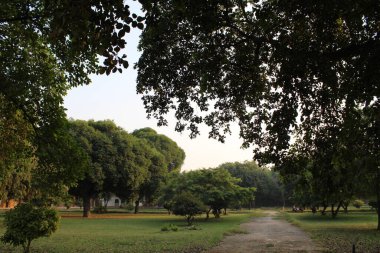 Parkın güzel manzarası