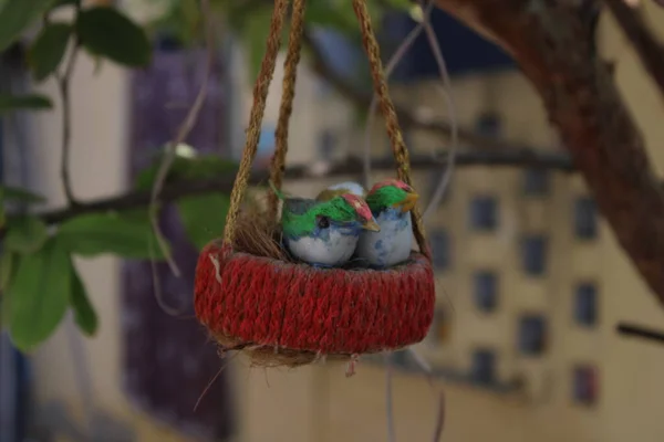 Sevimli küçük bir kuşun yakın plan fotoğrafı.