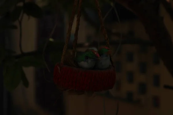 Mumla süslenmiş güzel bir Noel ağacının yakın plan fotoğrafı.